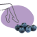 Circolazione, cellulite e gambe pesanti