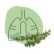 Difese immunitarie e vie respiratorie