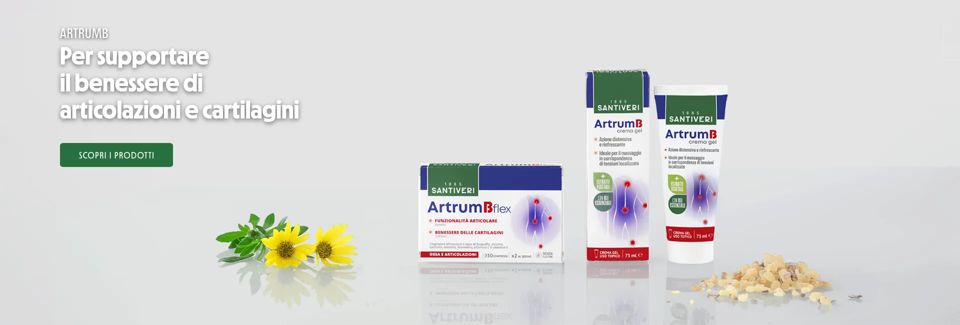 ArtrumB per supportare il benessere di articolazioni e cartilagini
