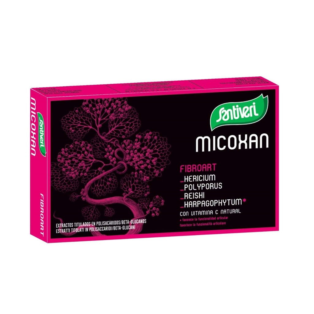 MICOXAN Fibroart 19 g