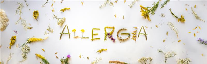 L'architettura dell'equilibrio: gemmoterapia e micoterapia per una difesa bilanciata dell’organismo