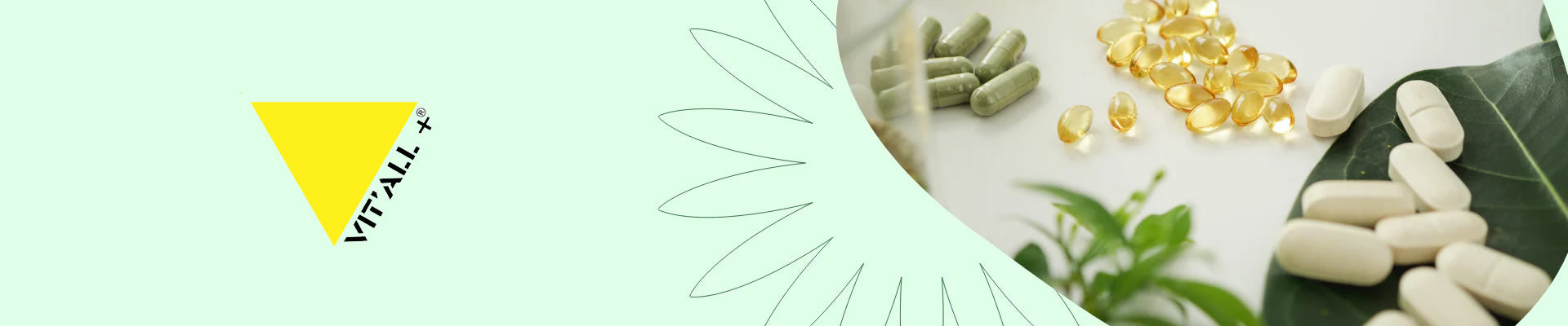 <div style="display:none">VIT'ALL PLUS</div>