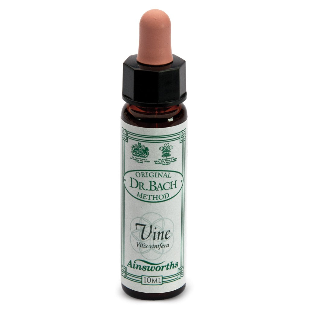 n°32 Vine 10ml