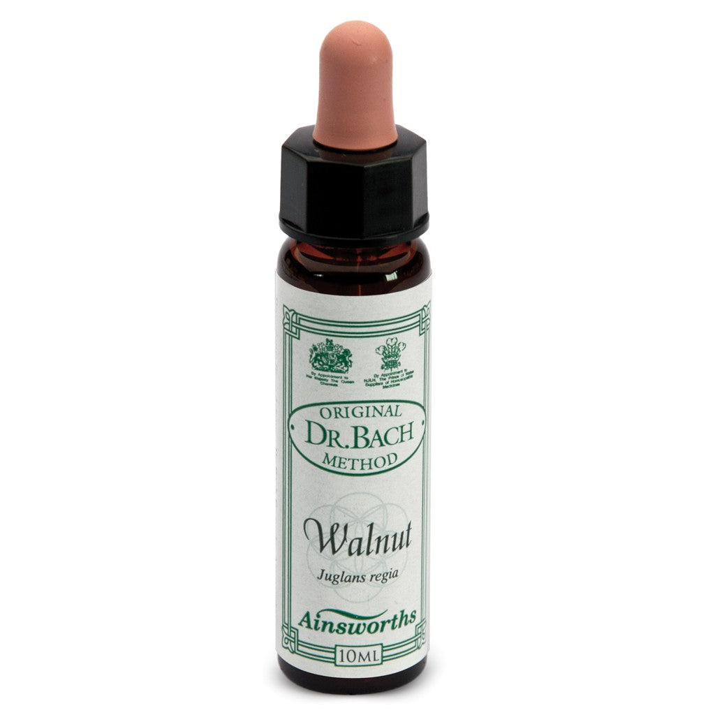 n°33 Walnut 10ml