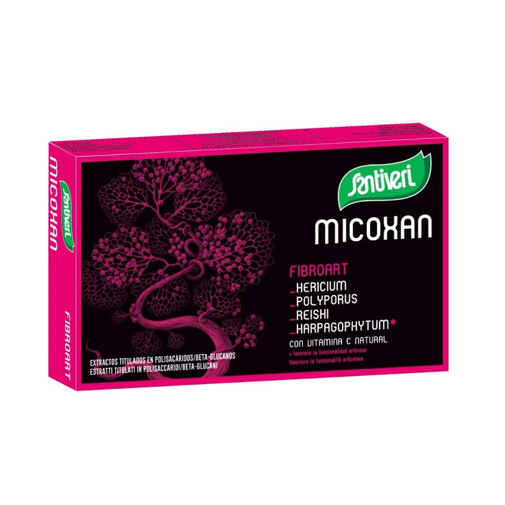 MICOXAN Fibroart 40 capsule
