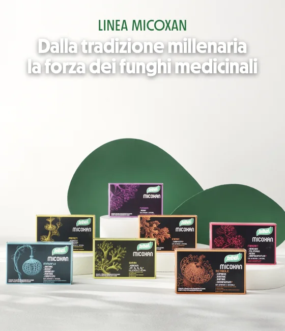 Linea MICOXAN